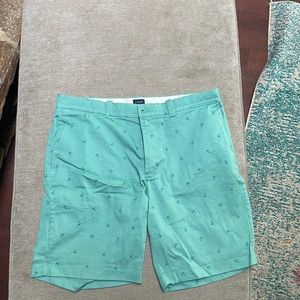 J-Crew- turquoise shorts